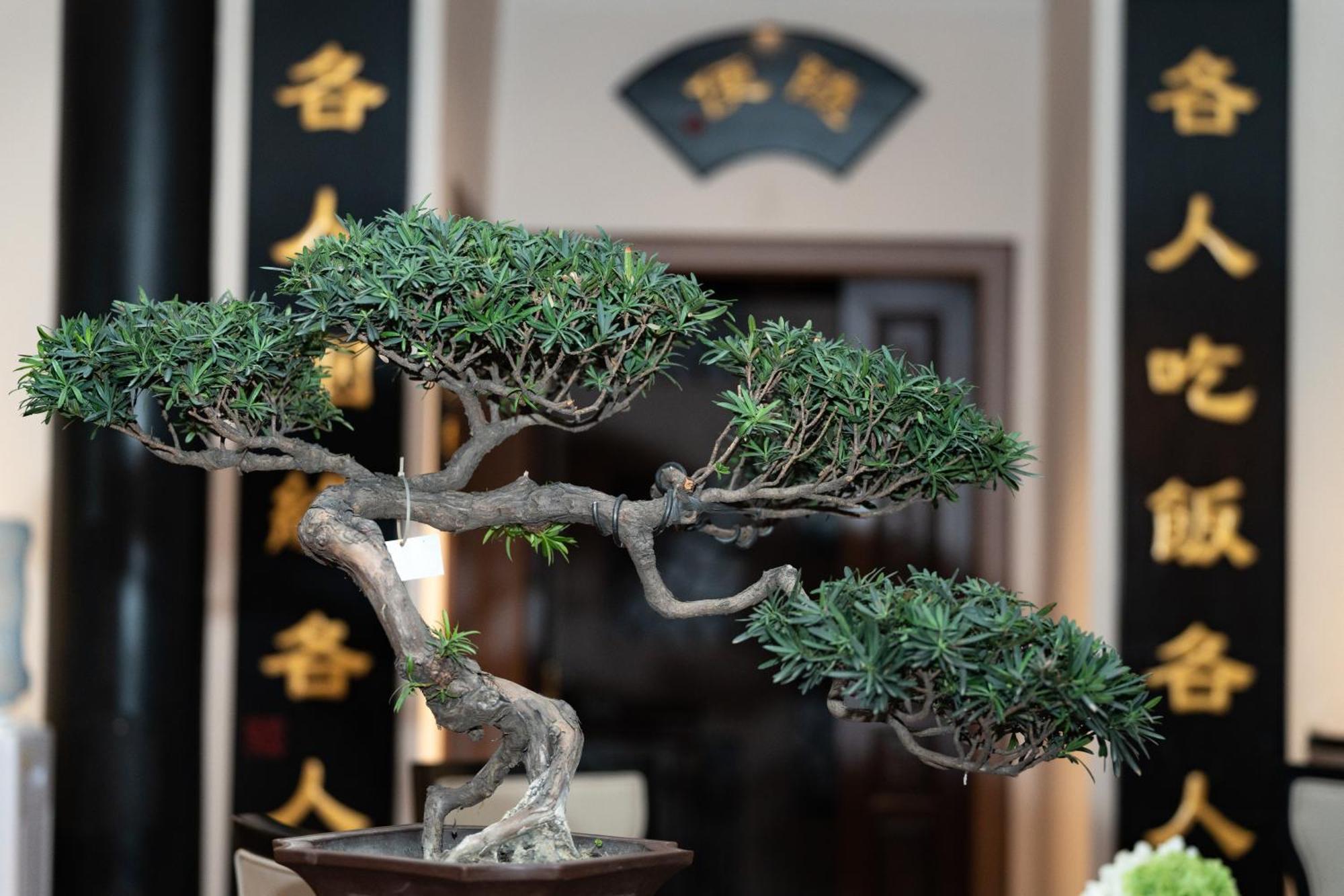 Buddha Zen Отель 4*